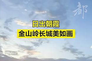 半岛电子公司截图2